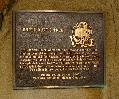 Uncle Burt's Tree Marker image. Click for full size.
