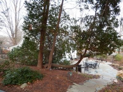 Fredericks House-view through the trees. image. Click for full size.
