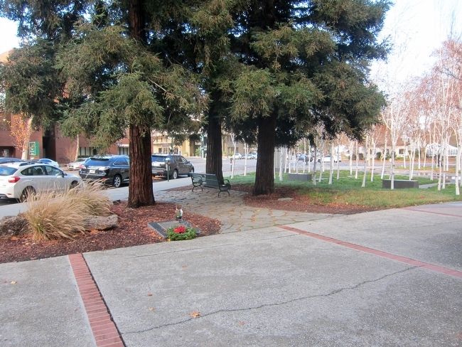 War Veterans of Walnut Creek Viet Nam Memorial Marker - Wide View. Click for full size. War Veterans of Walnut Creek Viet Nam Memorial Marker - Wide View image. Click for full size.