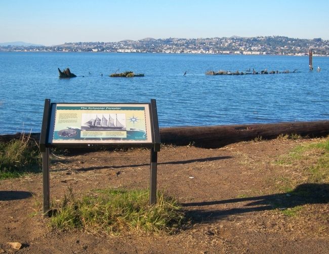 The Schooner Forester Marker - Wide View with the Remains of the Ship Visible image. Click for full size.