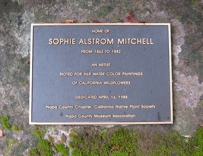 Sophie Alstrom Mitchell Marker image. Click for full size.