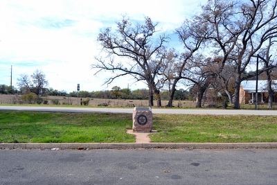 Mason County Marker in Roadside Park image. Click for full size.
