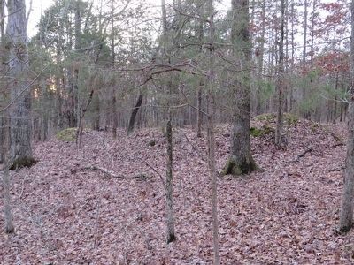 Confederate Outerworks east of marker at: 36.506634, -88.022345 image. Click for full size.