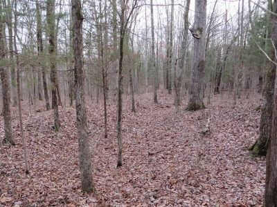 Confederate Outerworks east of marker at: 36.506634, -88.022345 image. Click for full size.