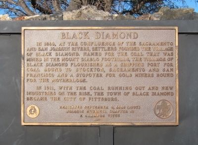 Black Diamond Marker image. Click for full size.