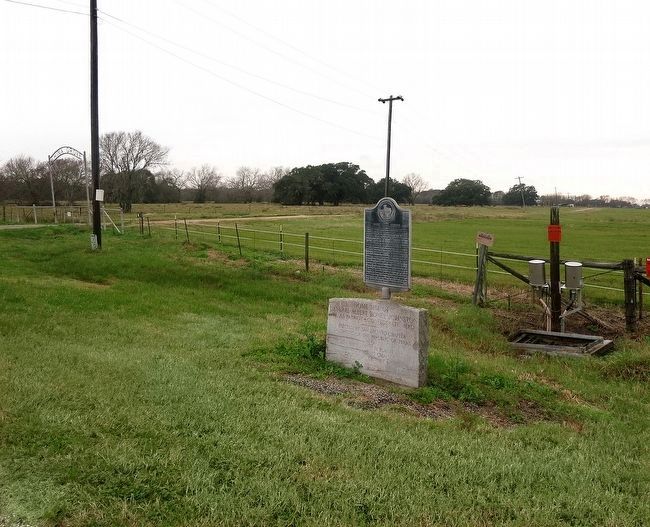 Albert Sidney Johnston Marker. Click for full size. Albert Sidney Johnston Marker image. Click for full size.