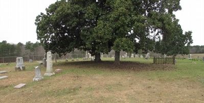 Elkins Cemetery. Click for full size. Elkins Cemetery image. Click for full size.