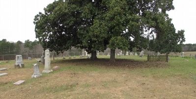 Elkins Cemetery image. Click for full size.