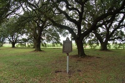 Poplar Grove Plantation Marker image. Click for full size.
