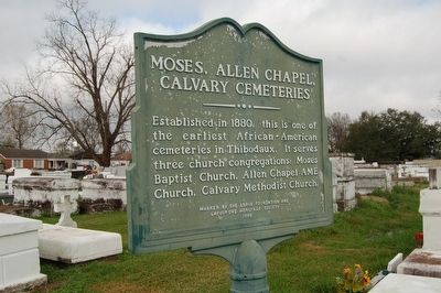 Moses, Allen Chapel, Calvary Cemeteries Marker image. Click for full size.