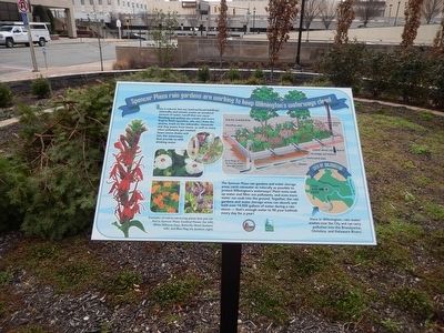 Spencer Plaza rain gardens are working to keep Wilmington's waterways clear! Marker image. Click for full size.
