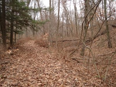 The yellow blazed trail follows the towpath for the Farmington Canal.. Click for full size. The yellow blazed trail follows the towpath for the Farmington Canal. image. Click for full size.