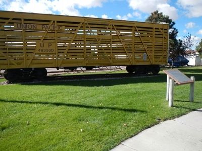 Union Pacific Railroad (UP) Double Deck Stock Car and Marker image. Click for full size.