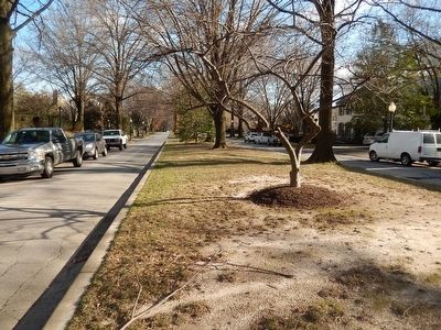 Wawaset Park image. Click for full size.