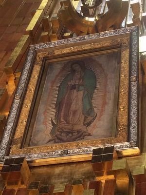 The Image of the Virgin of Guadalupe image. Click for full size.