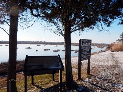 Salt Marshes image. Click for full size.