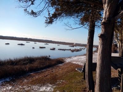 Salt Marshes image. Click for full size.