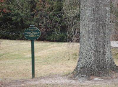 One of 74 remaining Constitution Oaks image. Click for full size.