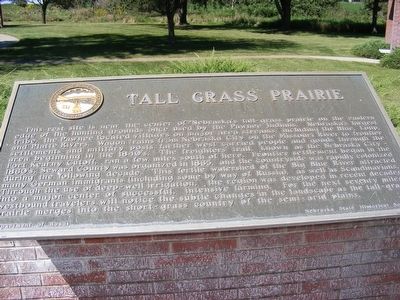 Tall Grass Prairie Marker image. Click for full size.