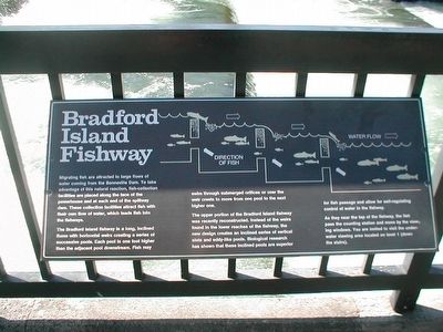Bradford Island Fishway Marker image. Click for full size.