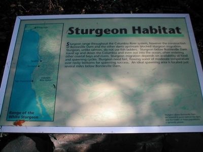 Sturgeon Habitat Marker image. Click for full size.