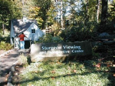 Entrance to the Sturgeon Viewing area image. Click for full size.