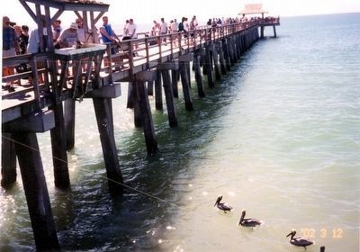 The Naples Pier image. Click for full size.