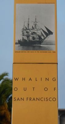 Whaling Out of San Francisco Marker. Click for full size. Whaling Out of San Francisco Marker image. Click for full size.