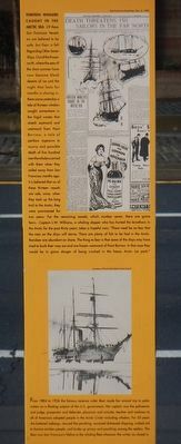 Whaling Out of San Francisco Marker. Click for full size. Whaling Out of San Francisco Marker image. Click for full size.
