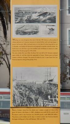 Whaling Out of San Francisco Marker. Click for full size. Whaling Out of San Francisco Marker image. Click for full size.