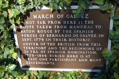 March Of Galvez Marker image. Click for full size.
