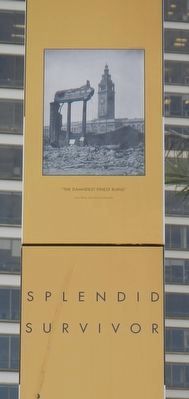 Splendid Survivor Marker. Click for full size. Splendid Survivor Marker image. Click for full size.
