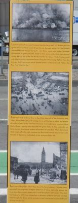 Splendid Survivor Marker. Click for full size. Splendid Survivor Marker image. Click for full size.