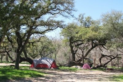 Campsite among ancient oaks along Onion Creek image. Click for full size.