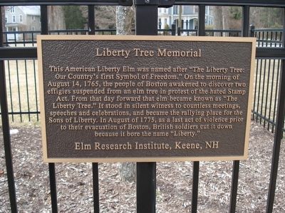 Liberty Tree Memorial Marker. Click for full size. Liberty Tree Memorial Marker image. Click for full size.