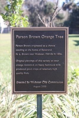 Parson Brown Orange Tree Marker. Click for full size. Parson Brown Orange Tree Marker image. Click for full size.