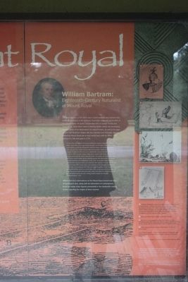 Mount Royal Marker-Close up of Panel 1. Click for full size. Mount Royal Marker-Close up of Panel 1 image. Click for full size.