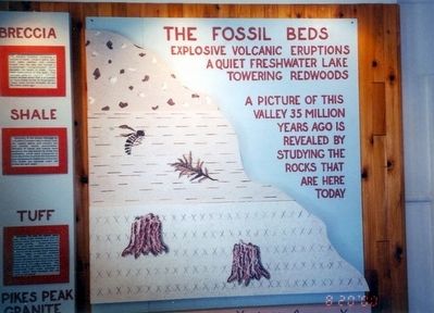 The Fossil Beds Marker image. Click for full size.