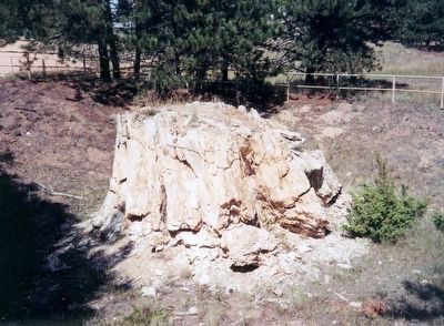 The Fossil Beds image. Click for full size.