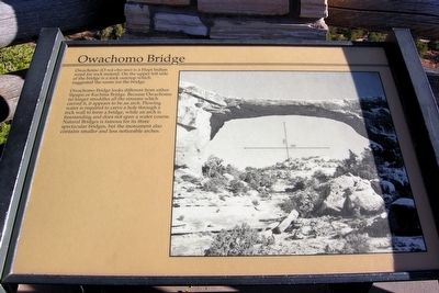 Owachomo Bridge Marker image. Click for full size.