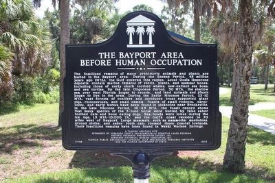 The Bayport Area Before Human Occupation Marker (side 1). Click for full size. The Bayport Area Before Human Occupation Marker (side 1) image. Click for full size.