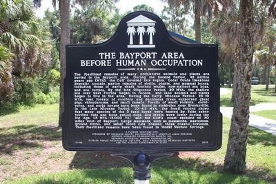 The Bayport Area Before Human Occupation Marker (side 1) image. Click for full size.