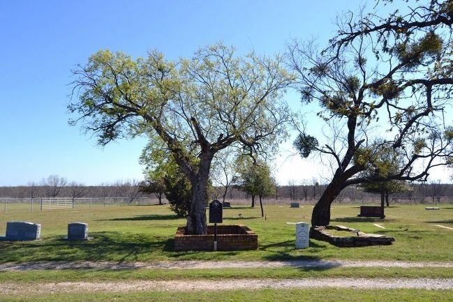 The Common Grave in Proffitt Cemetery image. Click for full size.