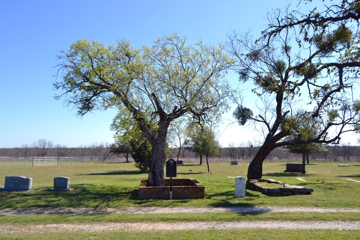 The Common Grave in Proffitt Cemetery