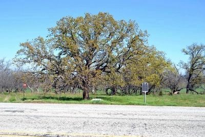 In Memory of Proffitt, Carlton, and Johnson<br>and Indian Raid on Elm Creek, C.S.A. Markers image. Click for full size.