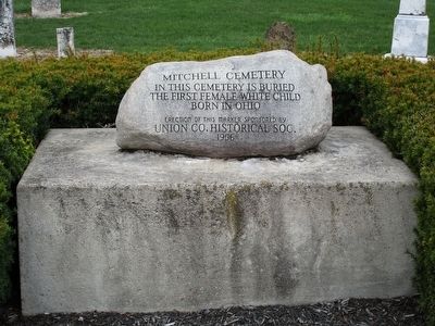 Mitchell Cemetery Stone #1 Marker. Click for full size. Mitchell Cemetery Stone #1 Marker image. Click for full size.