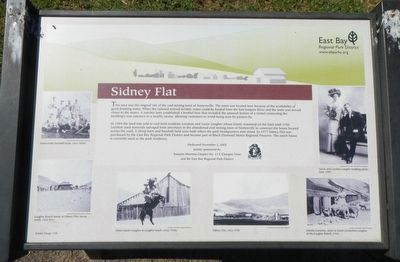 Sidney Flat Marker image. Click for full size.