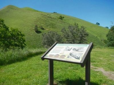 Independent Mine Marker. Click for full size. Independent Mine Marker image. Click for full size.