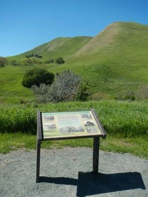 Somersville Townsite Marker image. Click for full size.