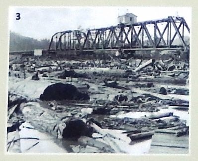Marker Photo Detail: Log jam on the Siuslaw River image. Click for full size.